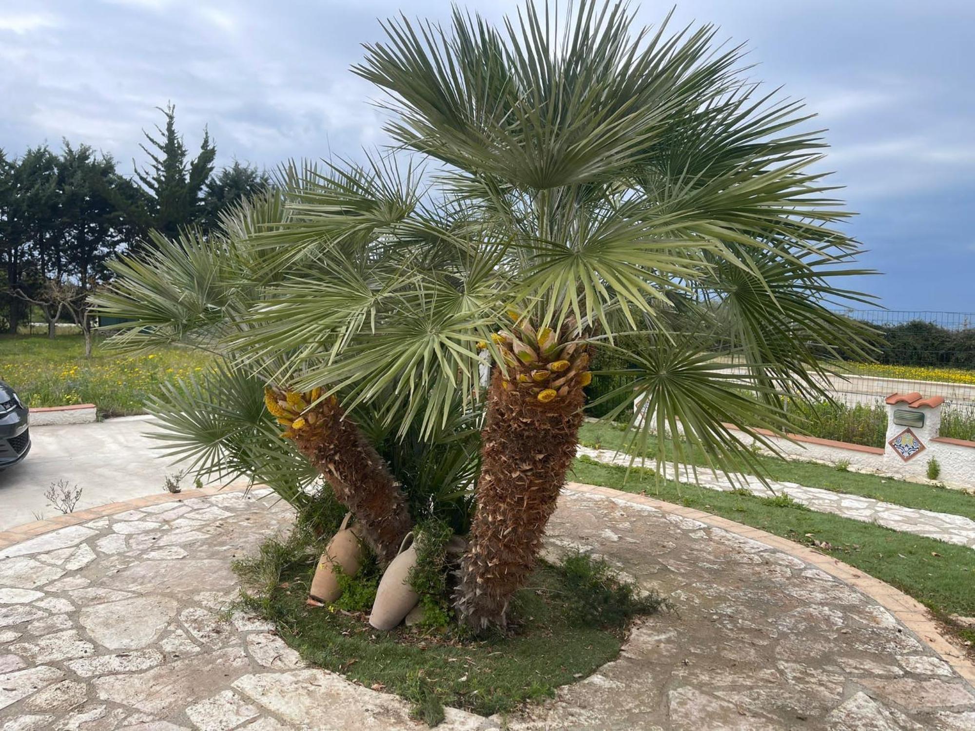 Vila Fiori Di Campo Sciacca Exteriér fotografie