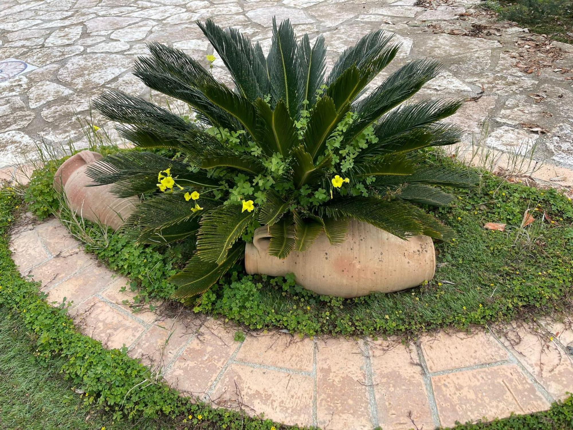 Vila Fiori Di Campo Sciacca Exteriér fotografie